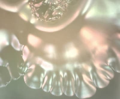 Extremofilia