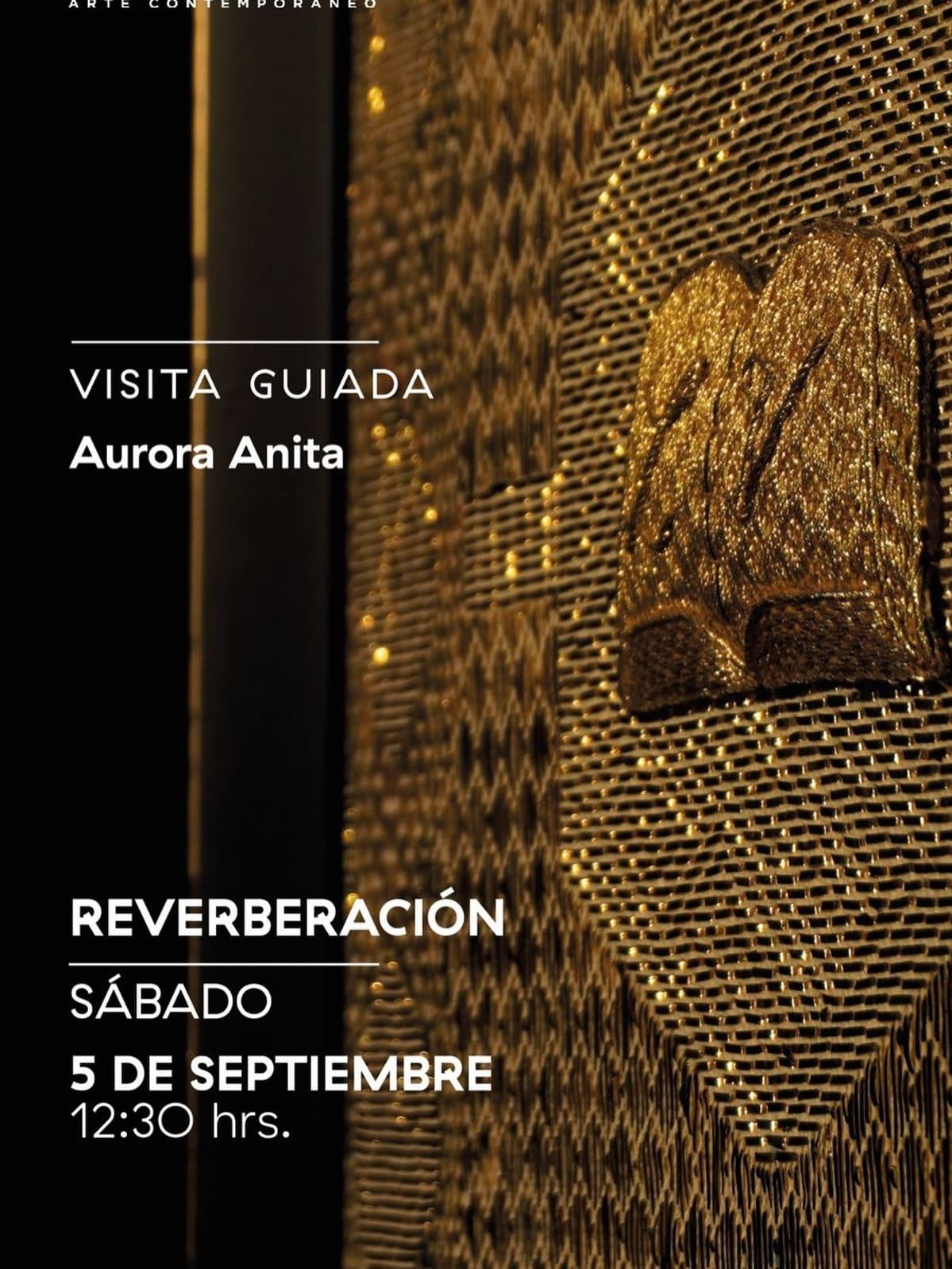 Reverberación — Visita guiada con Aurora Anita