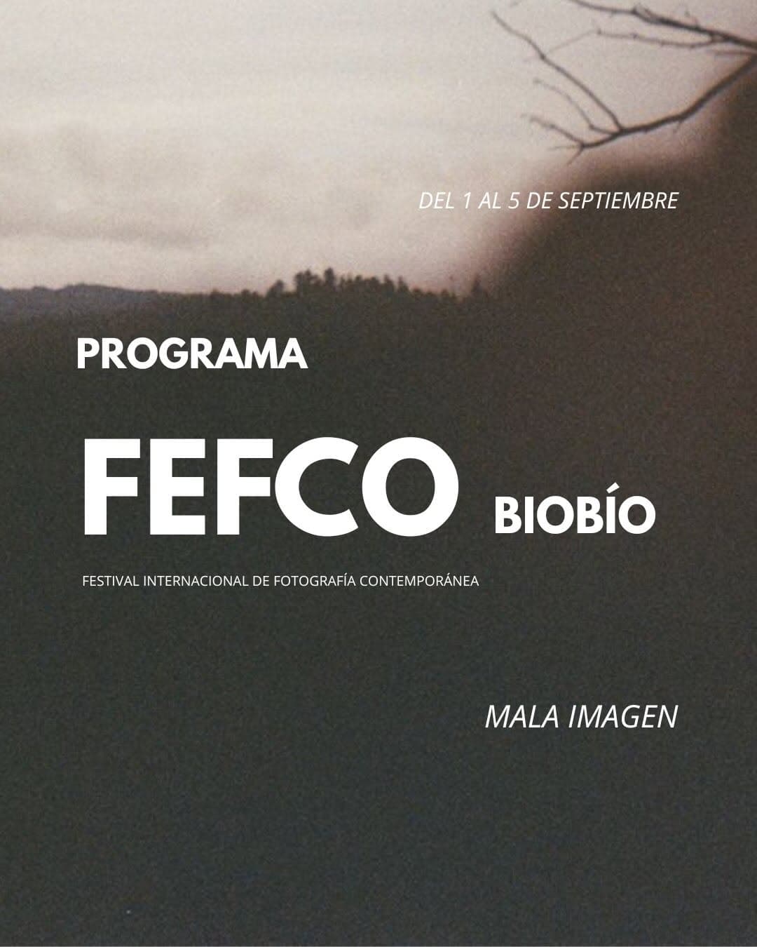 Festival Internacional de Fotografía Contemporánea del Biobío (FEFco Biobío 2026)