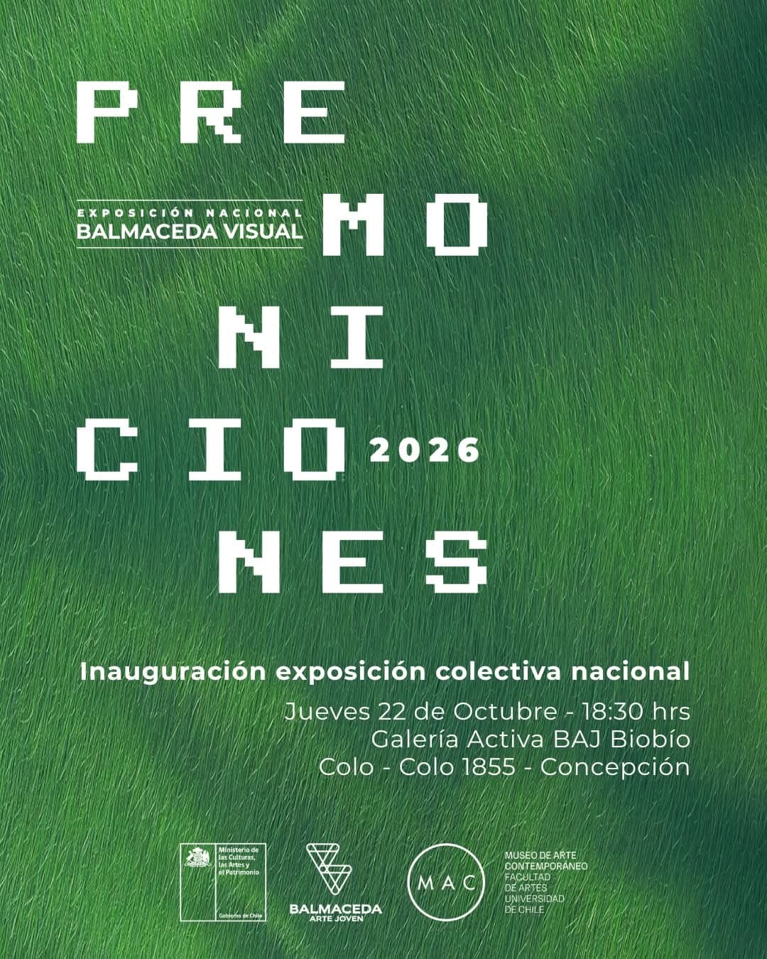 Balmaceda Visual 2026: Premoniciones