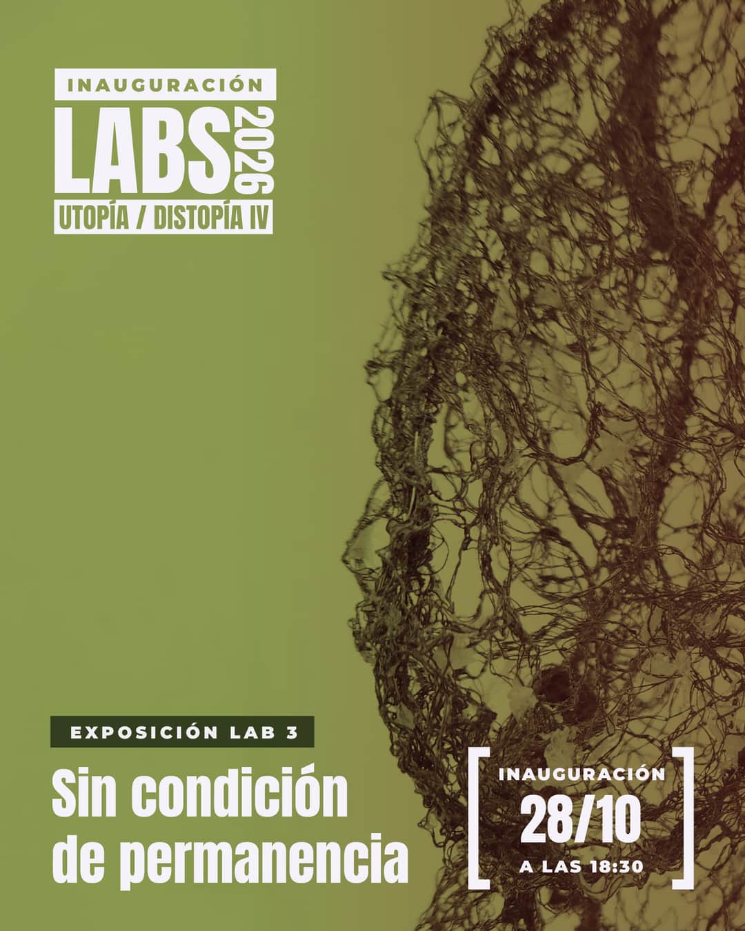 LAB 3: Sin condición de permanencia